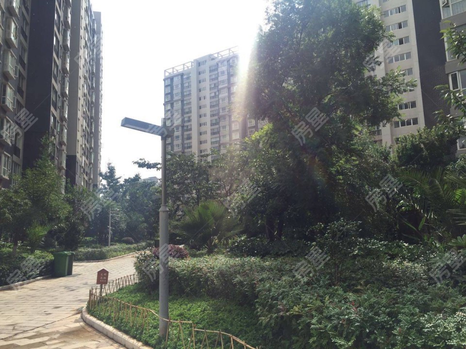 金江小區(qū)曦苑其它