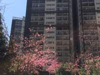 金江小區(qū)曦苑其它