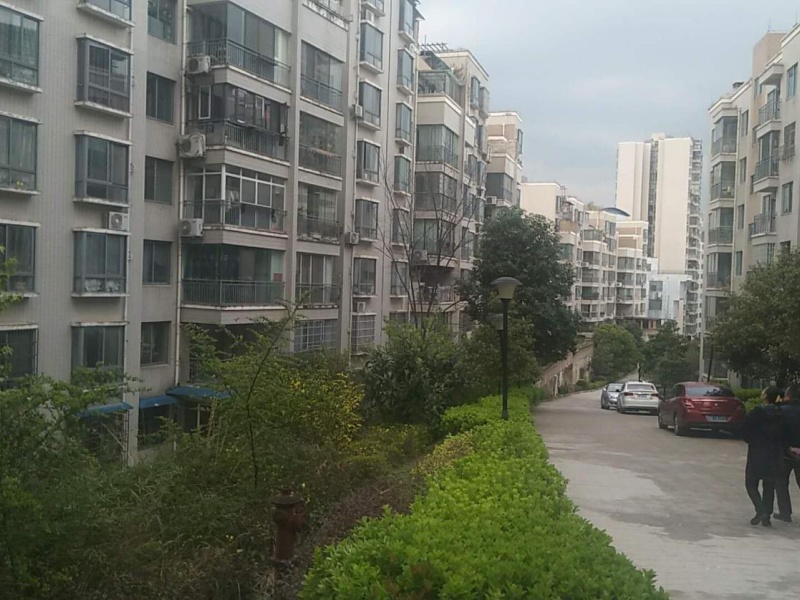 小城故事其它