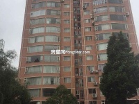 大梅園巷商鋪其它