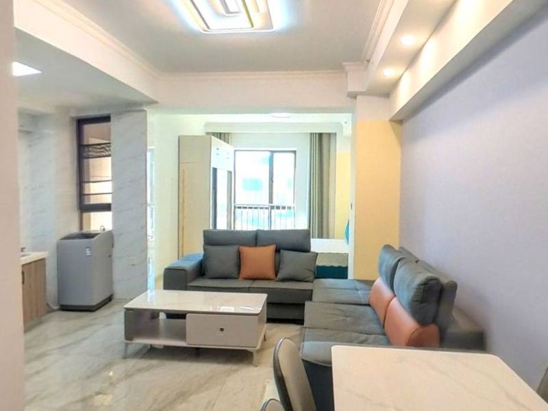 1室1廳1陽臺(tái) 南悅城公寓公寓客廳