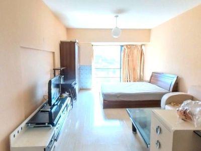 1室1廳1陽臺 時尚家園