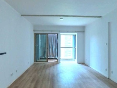 1室1廳1陽(yáng)臺(tái) SOHO俊園