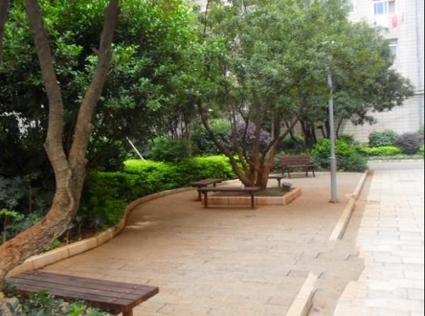 3室2廳1陽(yáng)臺(tái) 高支隊(duì)其他