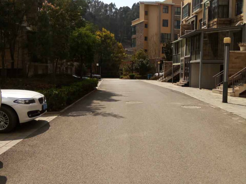 5室2廳2陽臺 林與堂別墅其他