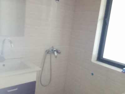 1室1廳1陽(yáng)臺(tái) 正大紫都城