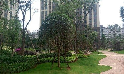 2室2廳1陽臺 中海學府路8號其他