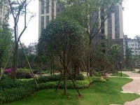 2室2廳1陽臺 中海學府路8號其他