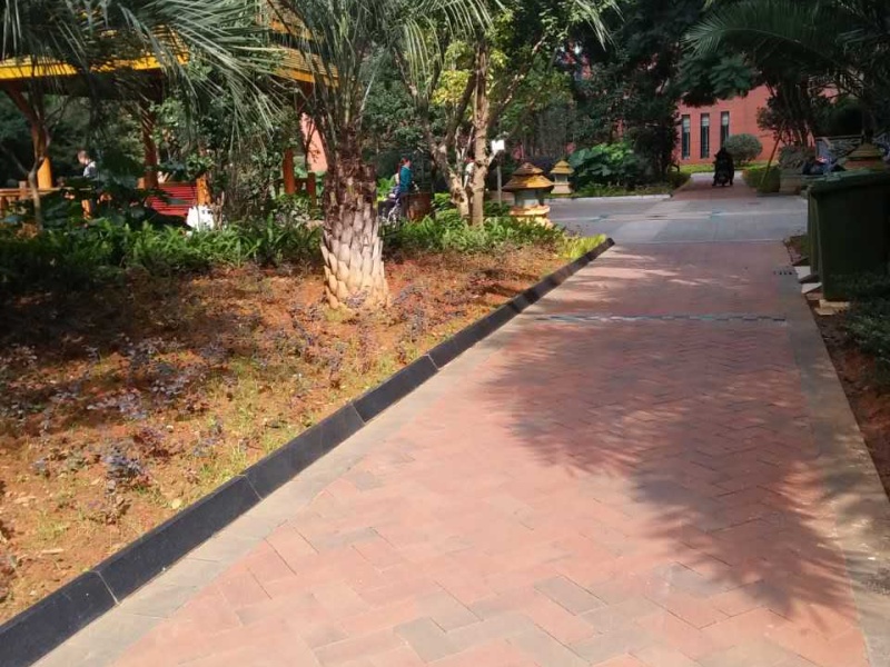 2室2廳1陽(yáng)臺(tái) 南亞風(fēng)情第壹城星河苑其他