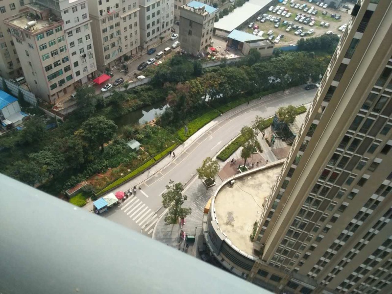 2室2廳1陽(yáng)臺(tái) 南亞風(fēng)情第壹城星河苑其他