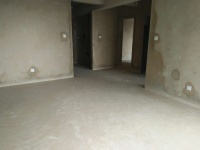 2室2廳1陽(yáng)臺(tái) 南亞風(fēng)情第壹城星河苑客廳