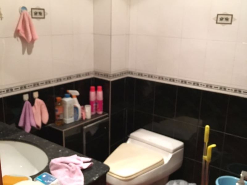 5室2廳3陽臺 隆基組團(tuán)衛(wèi)生間