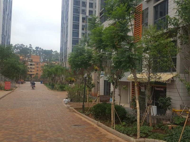 半山七哩溪其他