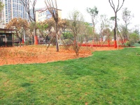 4室2廳2陽臺 萬彩城二期其他