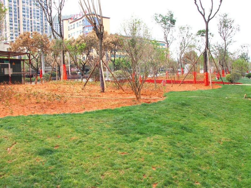 4室2廳2陽臺 萬彩城二期其他