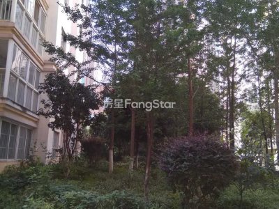 6室3廳1陽臺 銀領(lǐng)國際