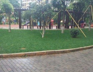 2室2廳1陽臺 云投景苑其他