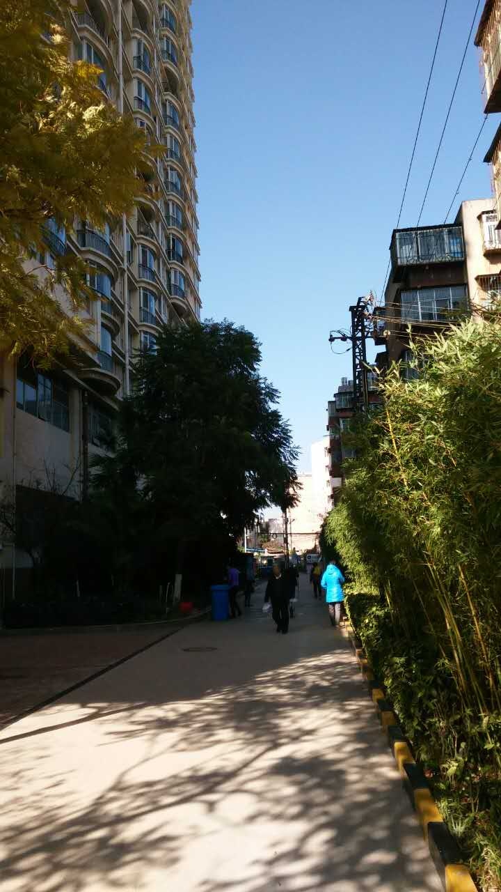 3室2廳1陽臺(tái) 中環(huán)金界其他