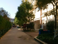 3室2廳1陽臺(tái) 中環(huán)金界其他