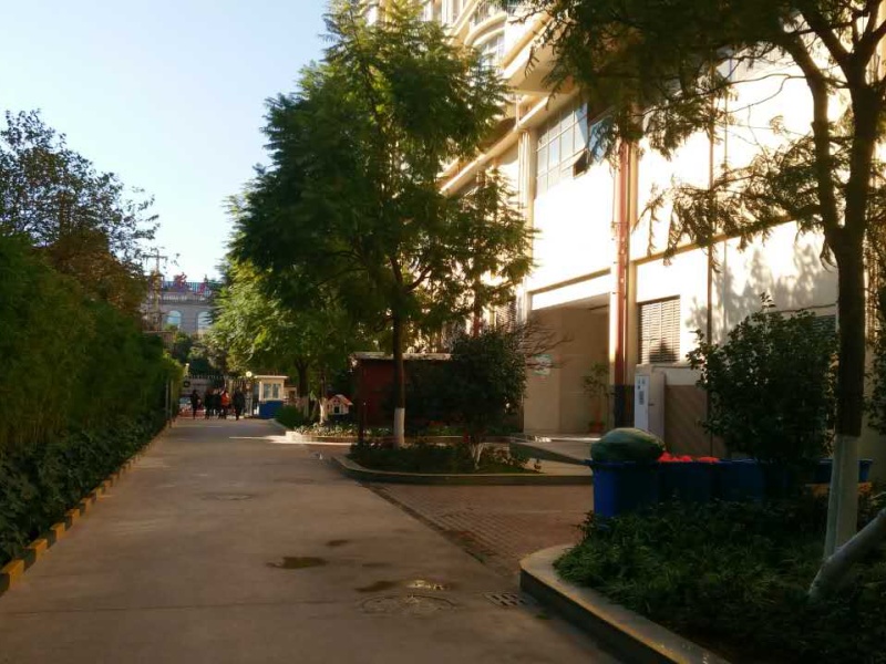 3室2廳1陽臺(tái) 中環(huán)金界其他