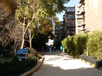 3室2廳1陽臺(tái) 中環(huán)金界其他