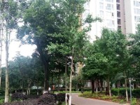 2室2廳1陽臺 候谷花園其他