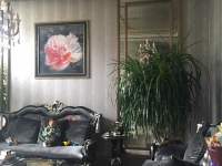 5室2廳3陽臺 林泉智苑別墅客廳