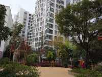 3室2廳1陽臺 云安尚品其他