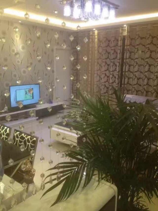 2室2廳 正大紫都城客廳