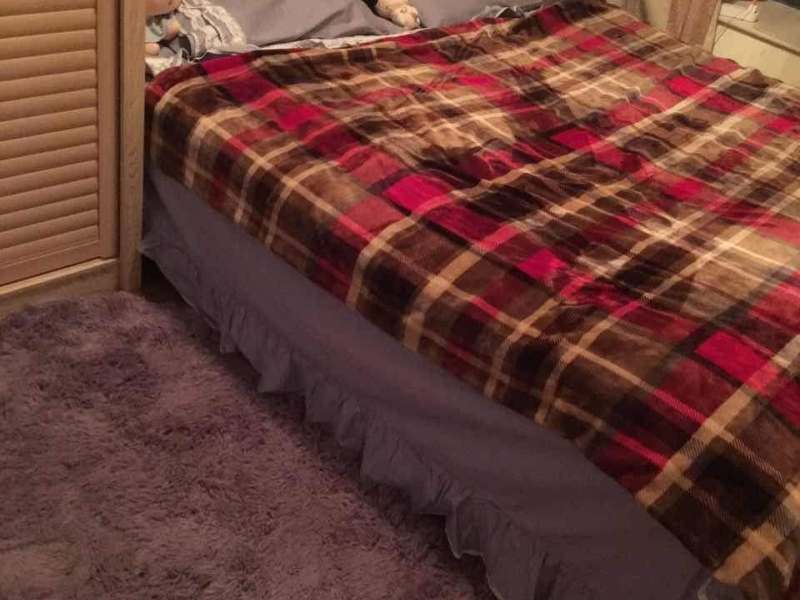 2室2廳 正大紫都城臥室