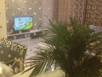 2室2廳 正大紫都城客廳