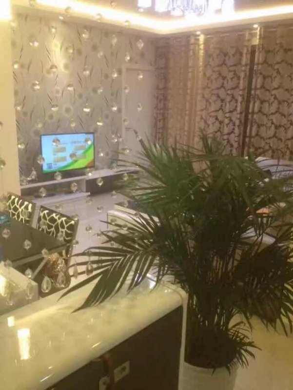 2室2廳 正大紫都城客廳