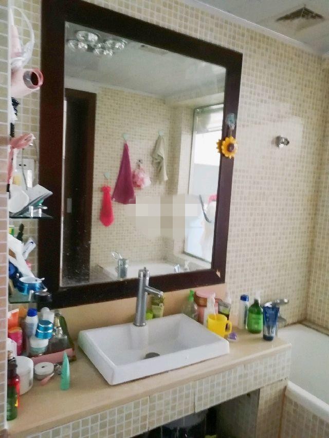 1室1廳 時(shí)尚家園衛(wèi)生間