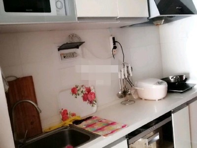 1室1廳 時(shí)尚家園廚房