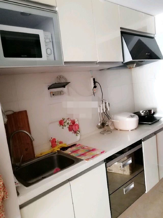 1室1廳 時(shí)尚家園廚房