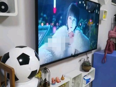 1室1廳 時(shí)尚家園客廳