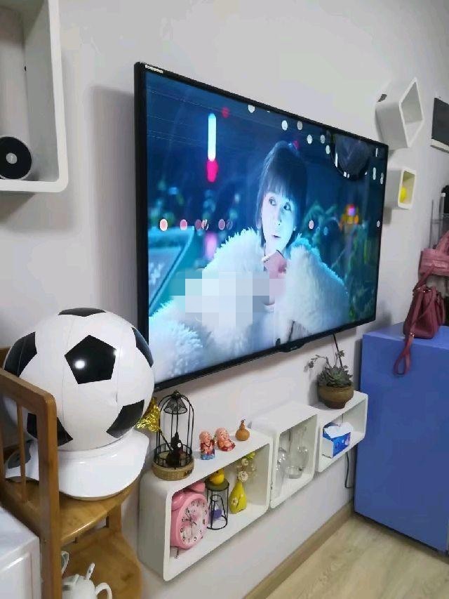 1室1廳 時(shí)尚家園客廳