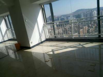 2室1廳1陽臺 國際銀座