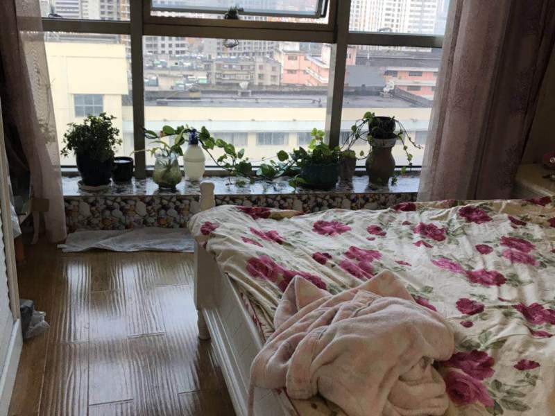 1室1厅1阳台 香樟俊园二期客厅