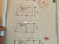 6室2廳4陽臺 公園1903康醍別墅戶型圖