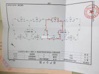 5室2廳 招商海公館別墅戶型圖