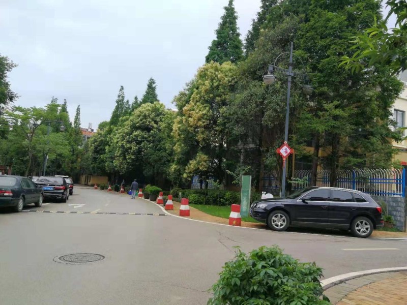 滇池森林其他