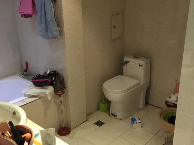 1室1廳1陽臺 禧瑞都衛(wèi)生間