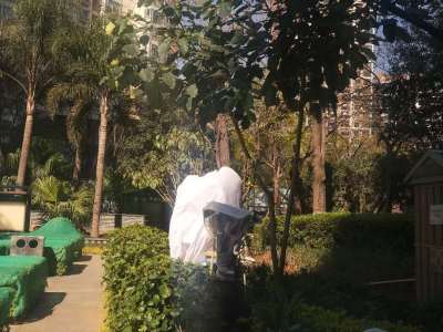 2室2廳2陽(yáng)臺(tái) 七彩之門(mén)