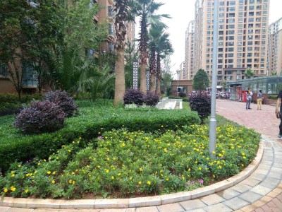 3室2廳 筑友雙河灣德馨苑