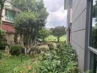 5室2廳3陽(yáng)臺(tái) 滇池高爾夫別墅別墅自家花園