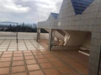 6室3廳4陽臺(tái) 大觀別墅別墅自家花園