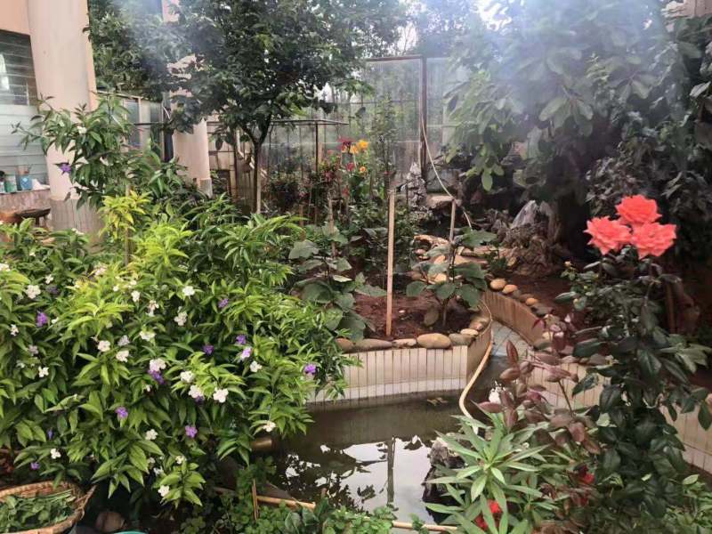 6室3廳4陽臺(tái) 大觀別墅別墅自家花園