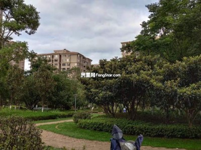 1室1廳1陽(yáng)臺(tái) 西南海泰和苑