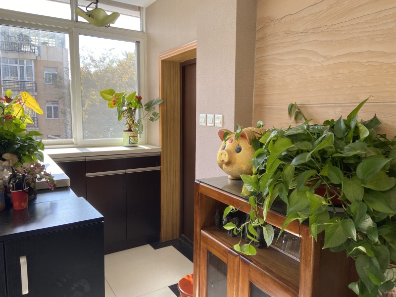 4室2廳2陽臺(tái) 寧康園別墅自家花園